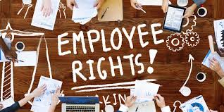 According to the Labor Contract Law of the People's Republic of China, employees enjoy the following rights